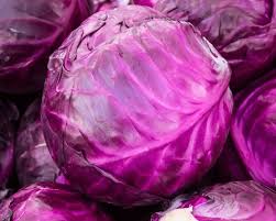 violet cabbage